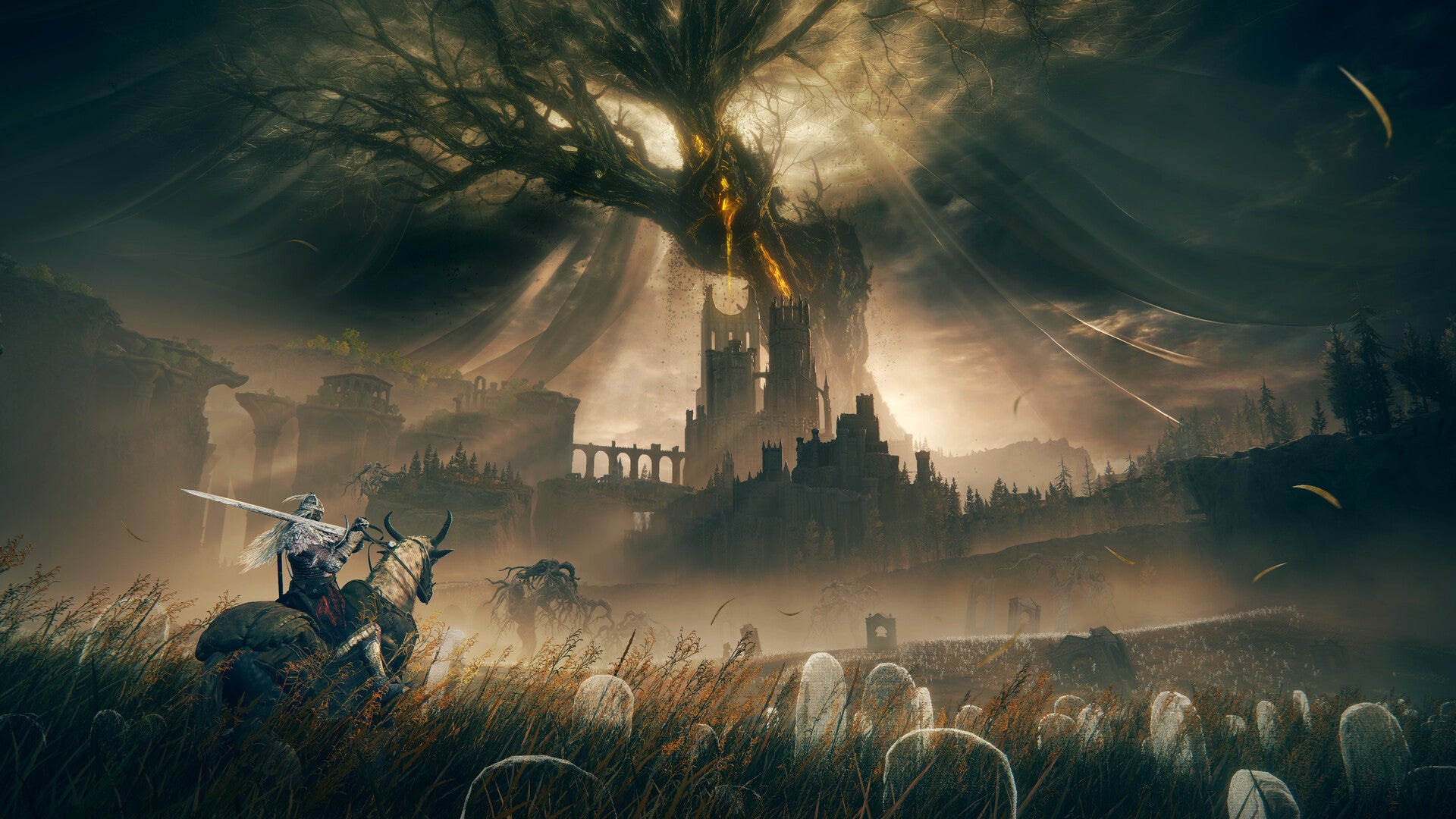 ELDEN RING Shadow of the Erdtree Edition PC (EMEA)