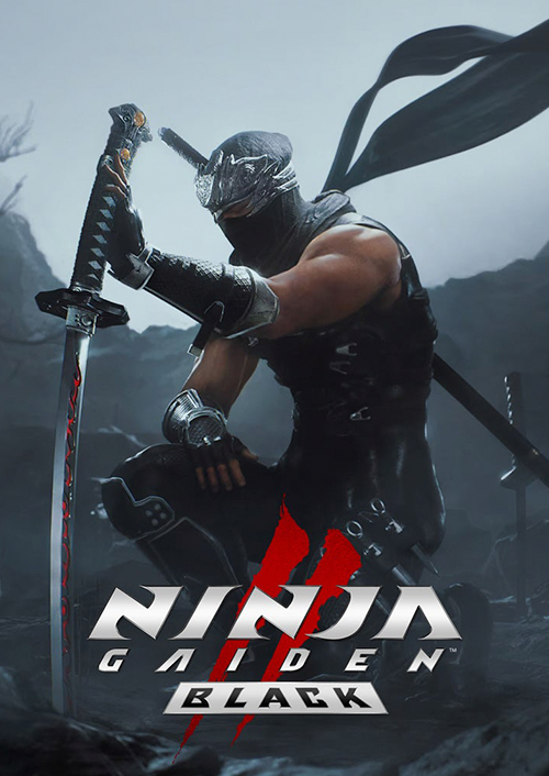 NINJA GAIDEN 2 Black PC (Europe & UK)