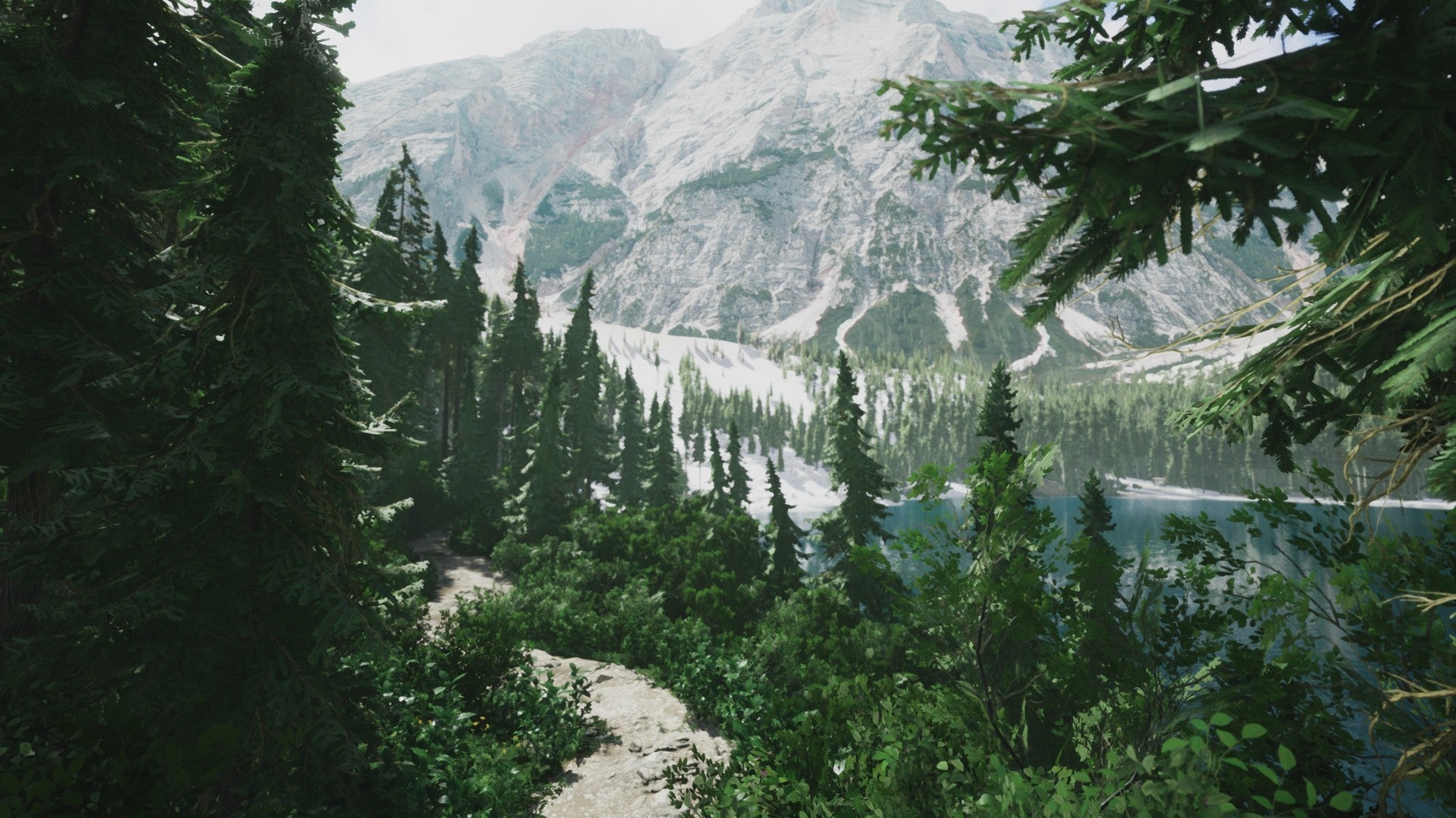 Lushfoil Photography Sim PC