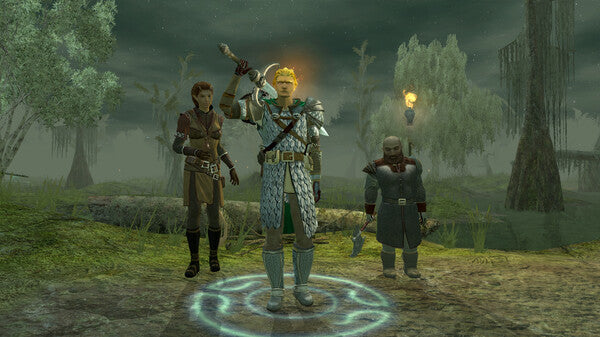 Dungeons & Dragons Neverwinter Nights 2: Enhanced Edition PC (Europe & UK)