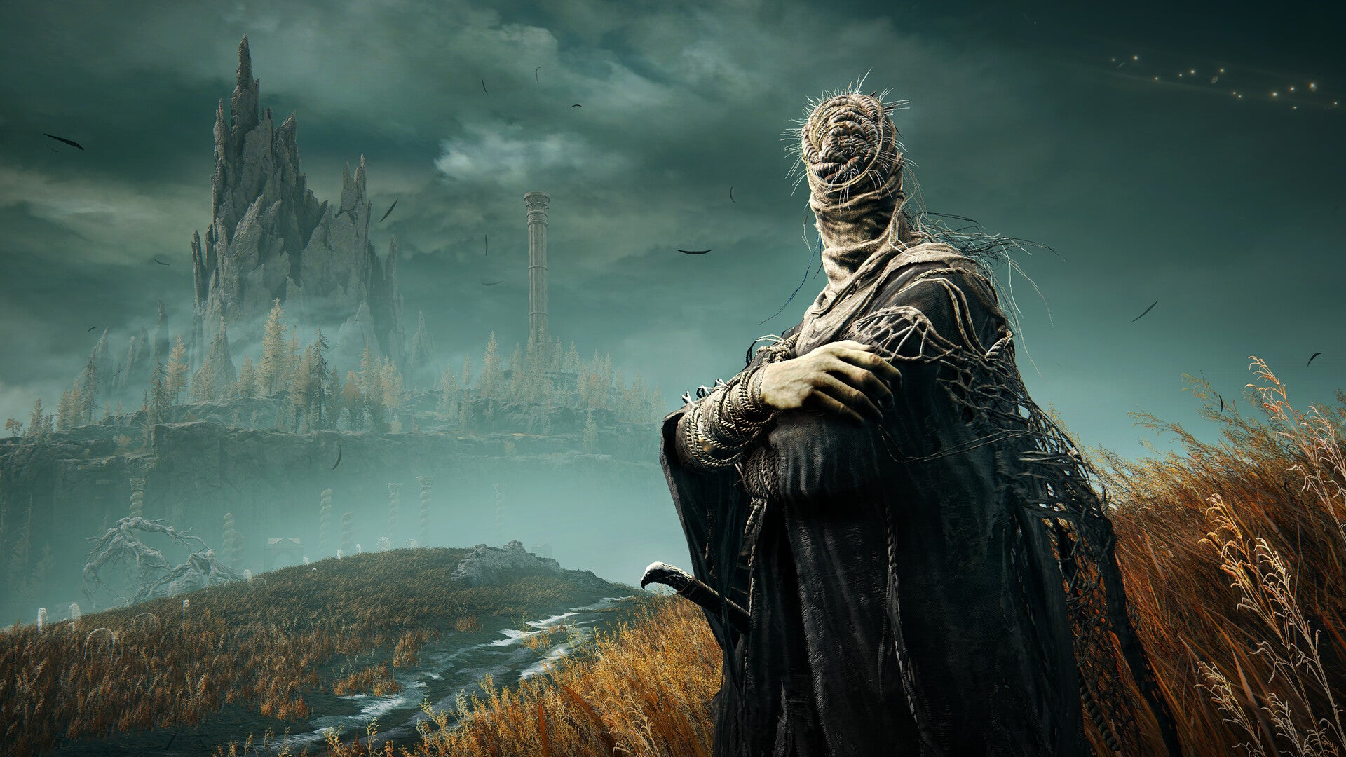 ELDEN RING Shadow of the Erdtree Edition PC (EMEA)