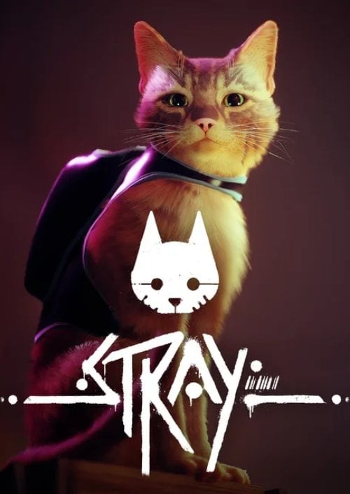 Stray PC (Europe & UK)